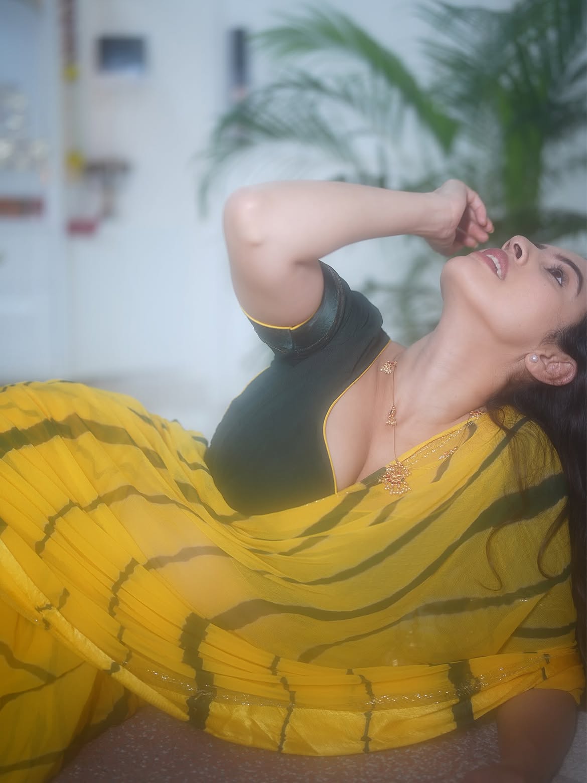 Priyanka Kholgade Elegant Waistline Saree Detail