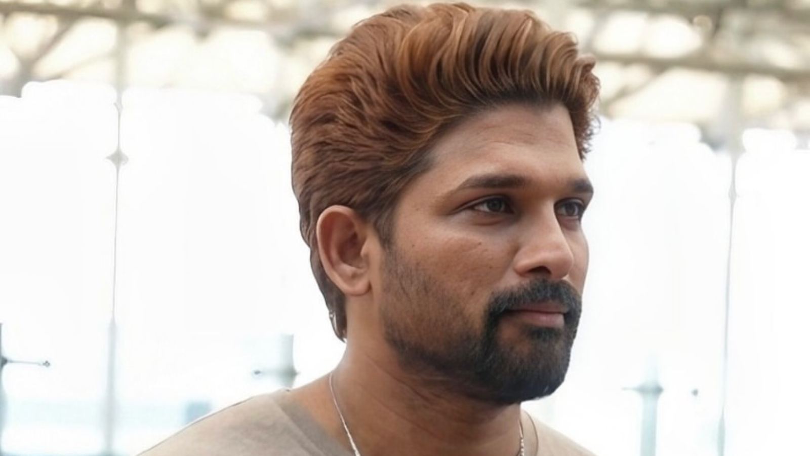 Allu Arjun court hearing