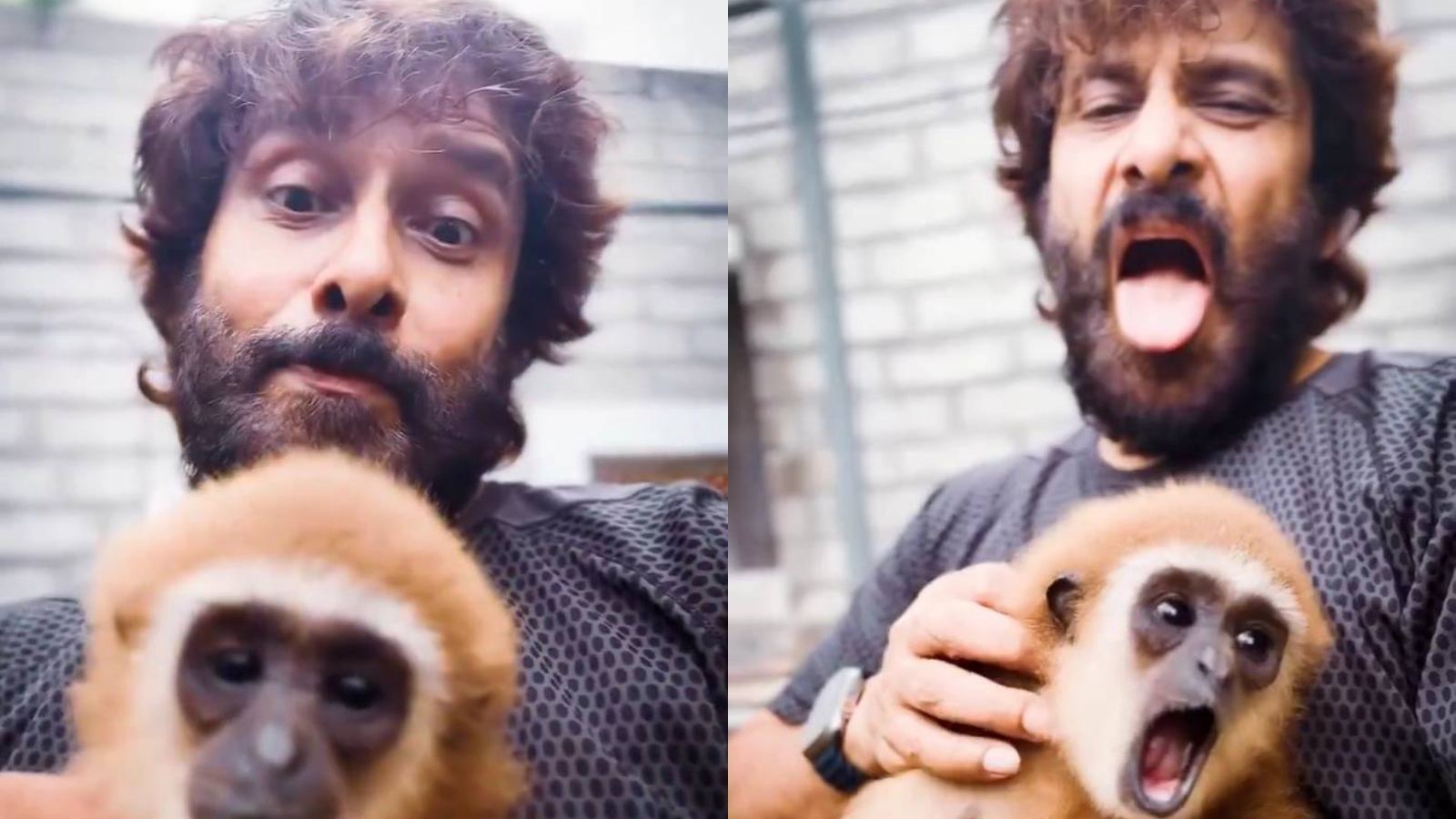 chiyaan-vikram-lar-gibbon-video-controversy