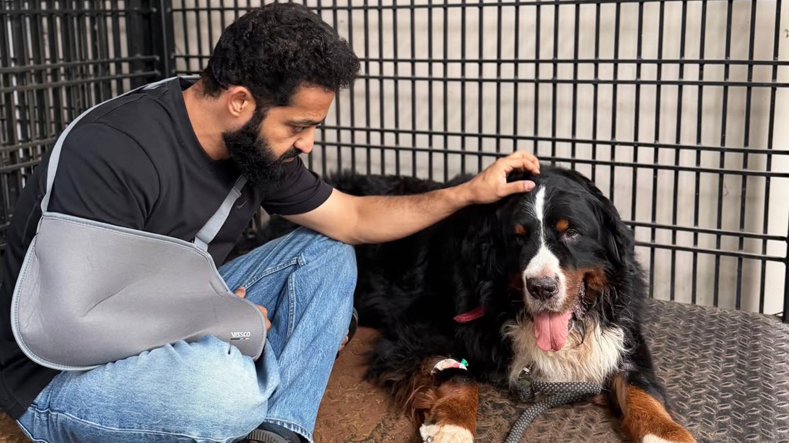 Jr NTR with pet Bagheera