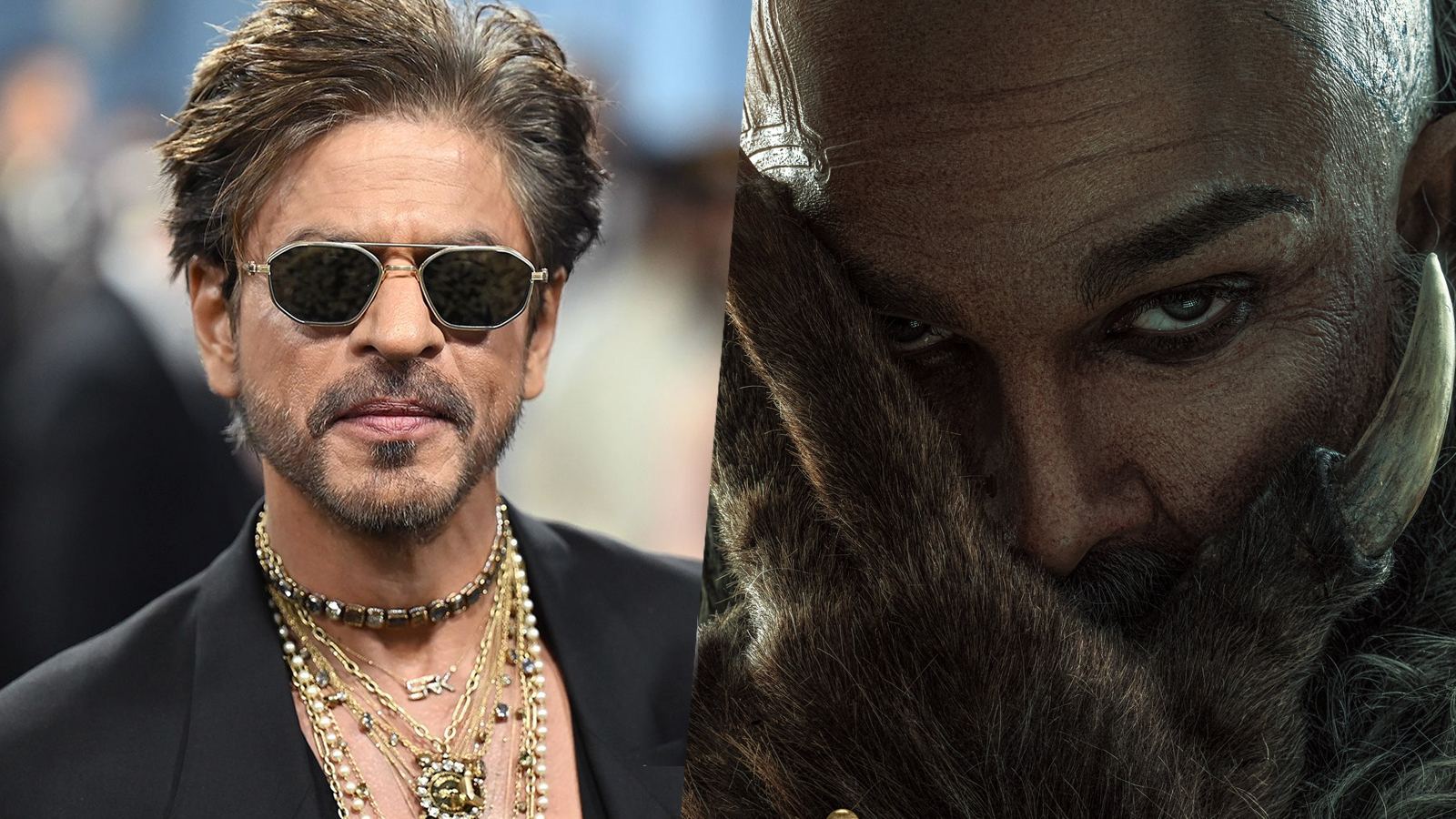 Shah Rukh Khan Raaka cameo rumours