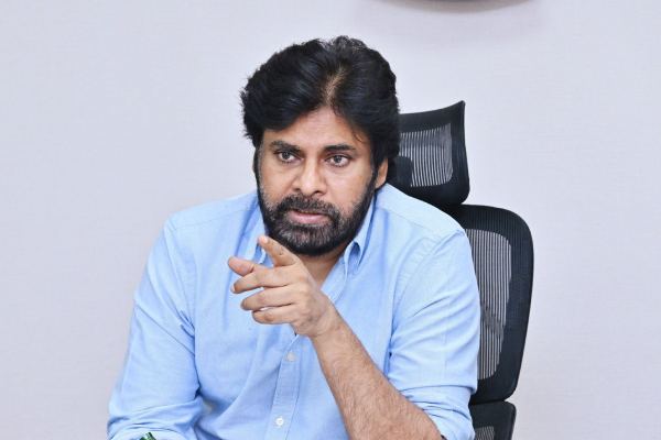 Pawan Kalyan wooden artisans initiative