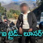 పులి మీద సవారీ చేయాలనుందా? అయితే షేర్ మార్కెట్ ఉందిగా!