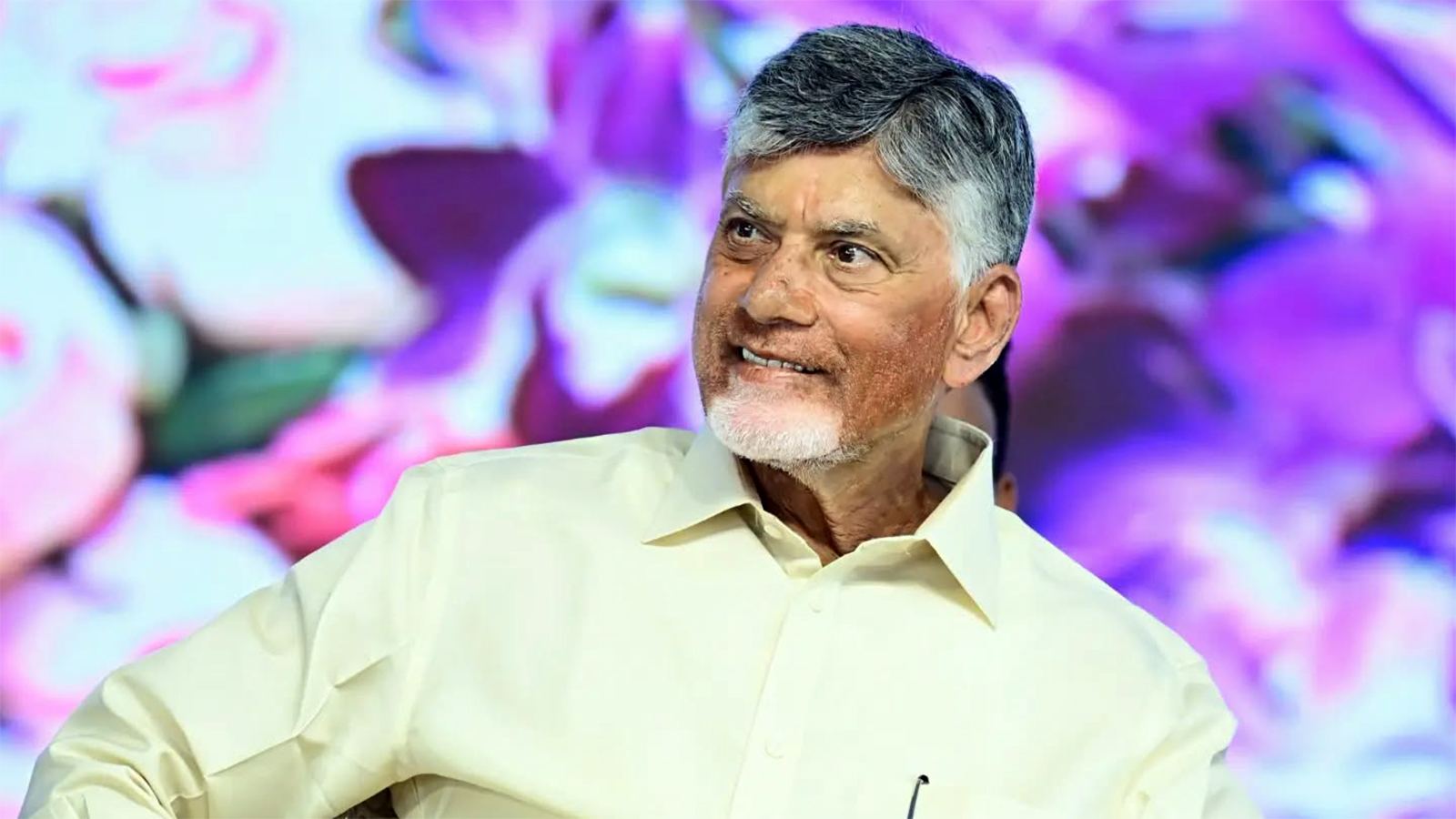 Swarna Andhra 2047 development vision