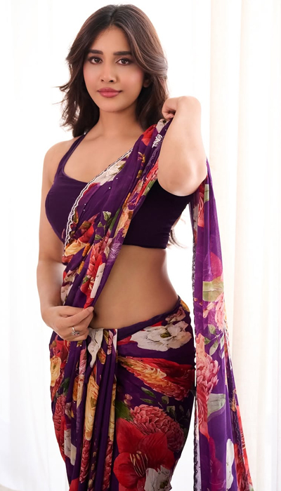 Pics: Nabha Flaunts Curves In Bold Purple Drapes