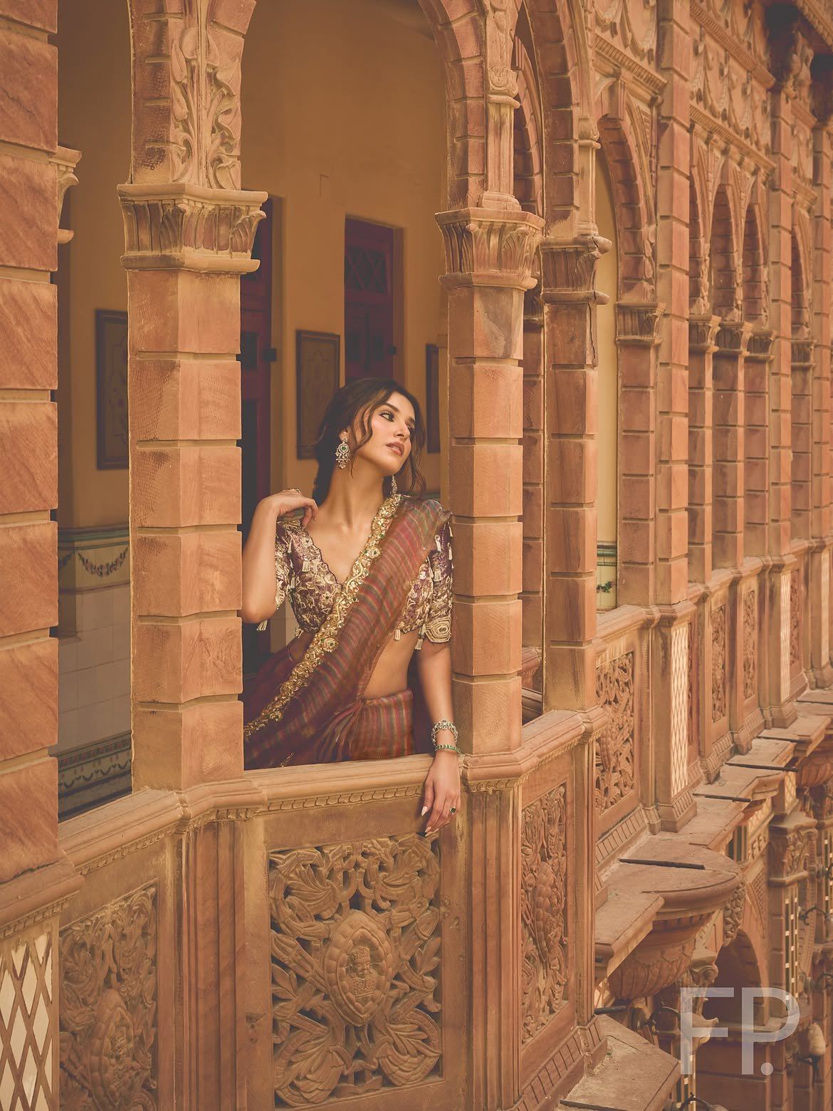 Tara Sutaria Poses In An Ornate Brown Saree Look