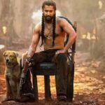 సినిమా ఫలితాలకు ప్రాంతీయవాదాలా.?
