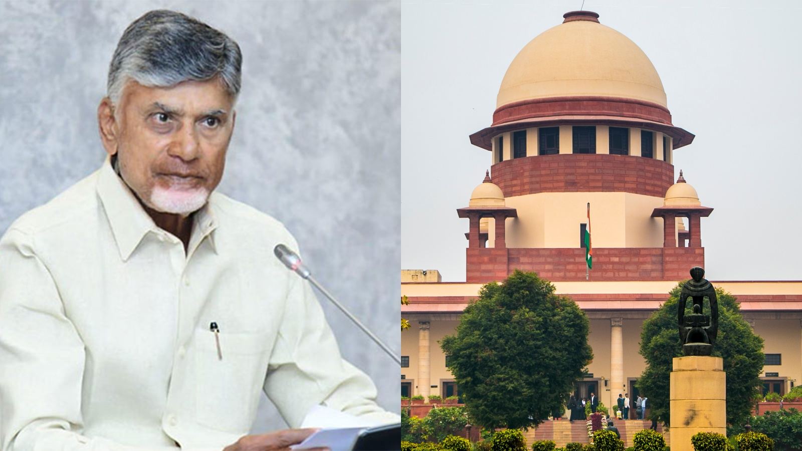 AP BC reservation in local body elections