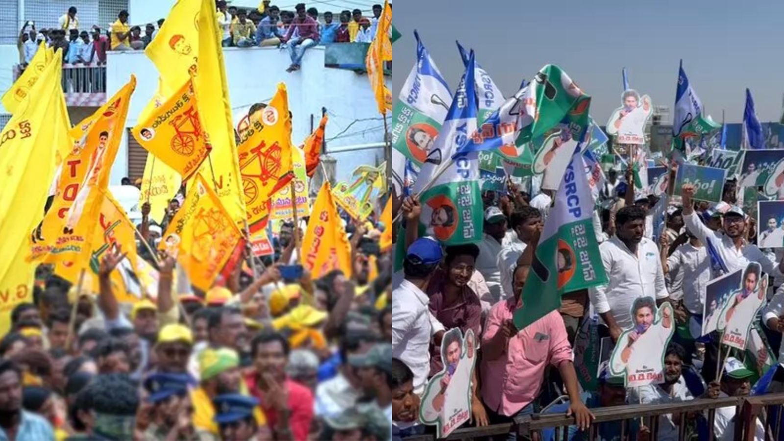 AP Municipal Elections TDP YSRCP Clashes