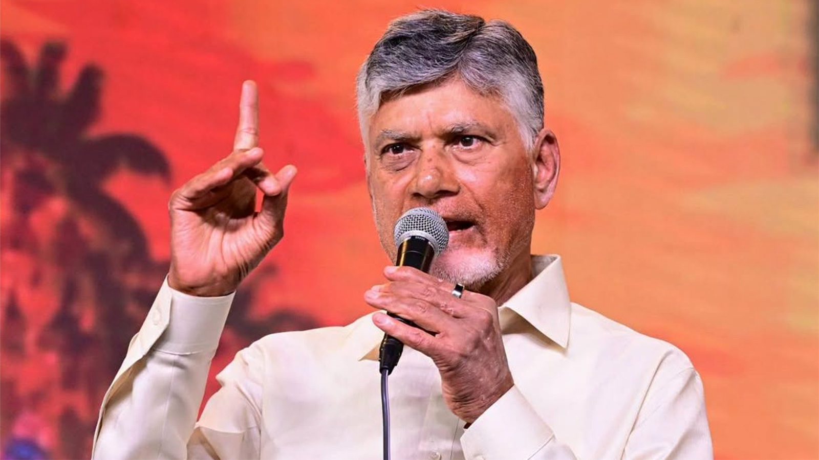Chandrababu Naidu Warns TDP Party Rebels