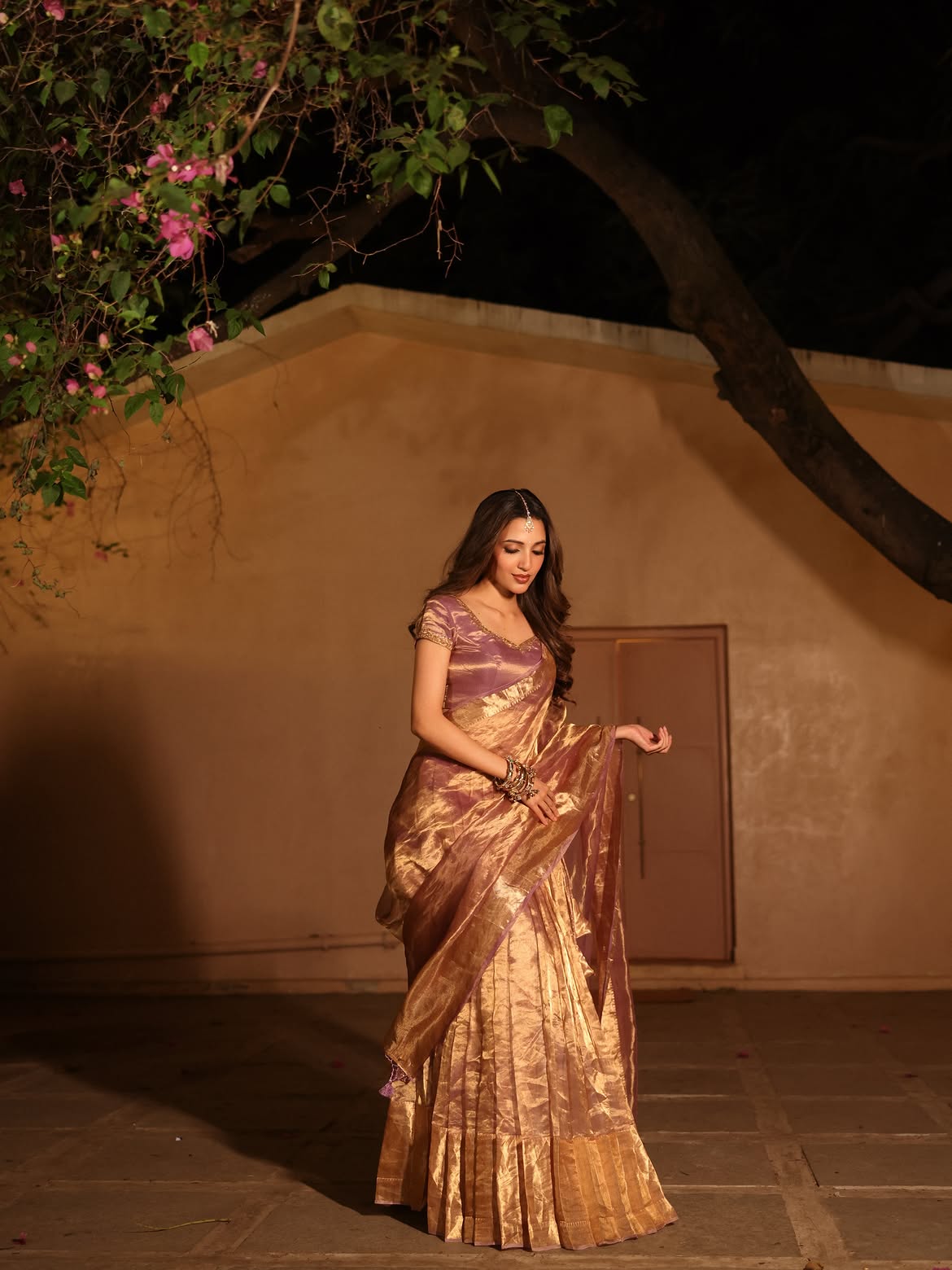 Neha Shetty Poses In A Glowing Gold Mauve Saree!