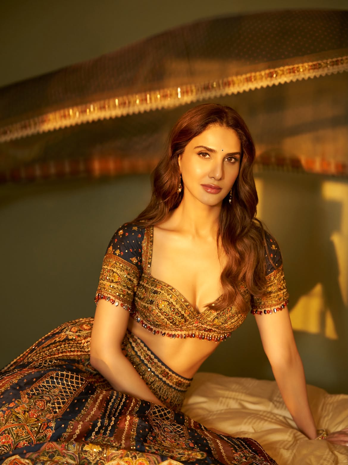 Vaani Kapoor Poses In Navy And Gold Lehenga Look
